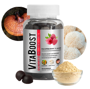 3 removebg preview e1693840574769 - supplements - Vitamin2life - Naturally Sourced Supplements