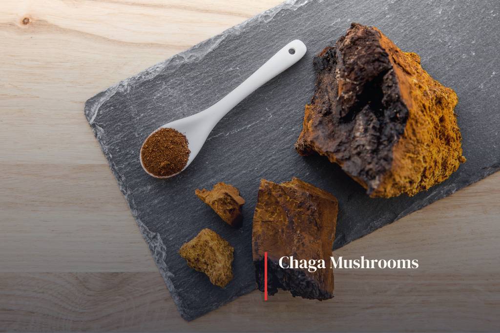 Chaga-Mushrooms Health Benefits - Powerful Antioxidant - Vitamin2life