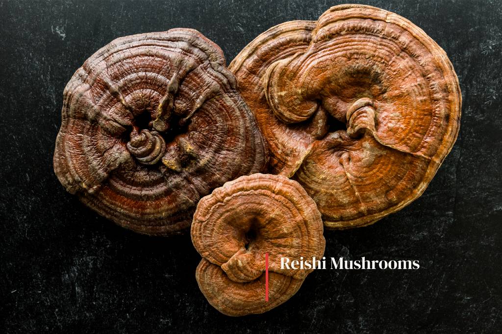 Reishi Mushrooms Health Benefits - Vitamin2life(1)