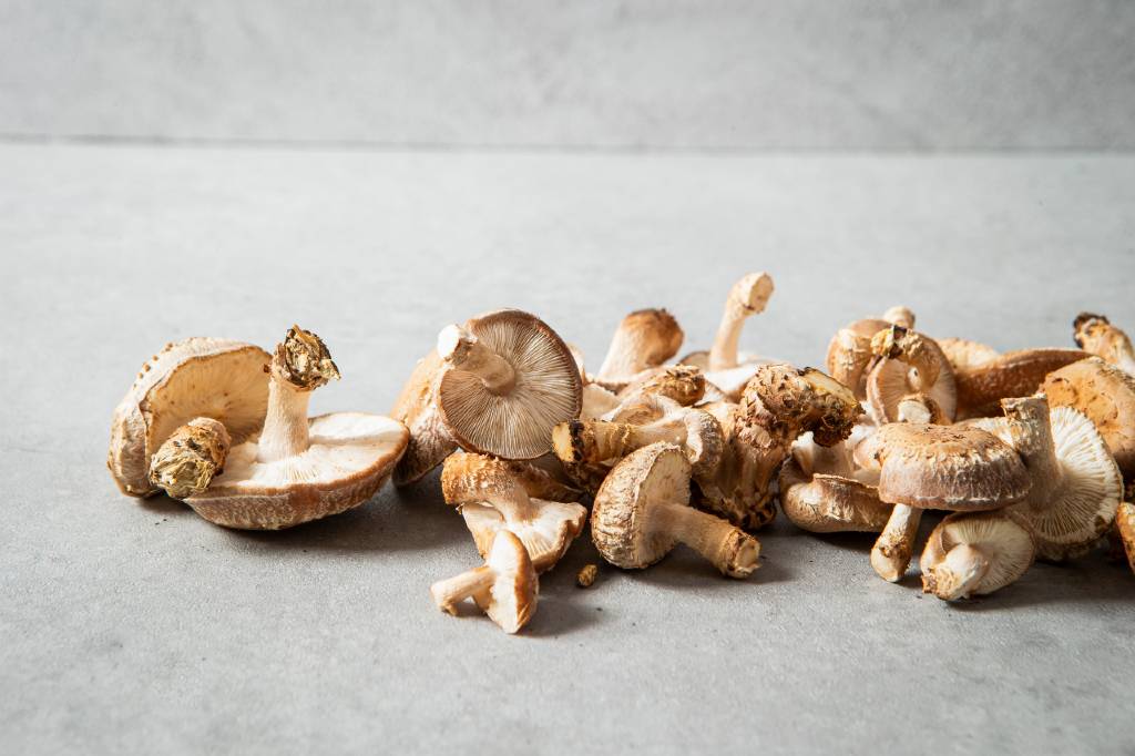 Shiitake Mushroom - Health Benefits