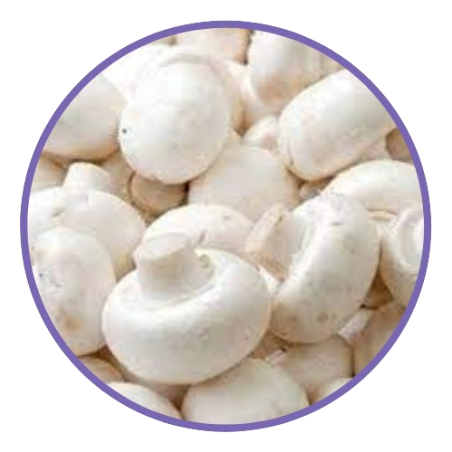 White_Button_Mushroom_-_Vitamin2life-removebg-preview